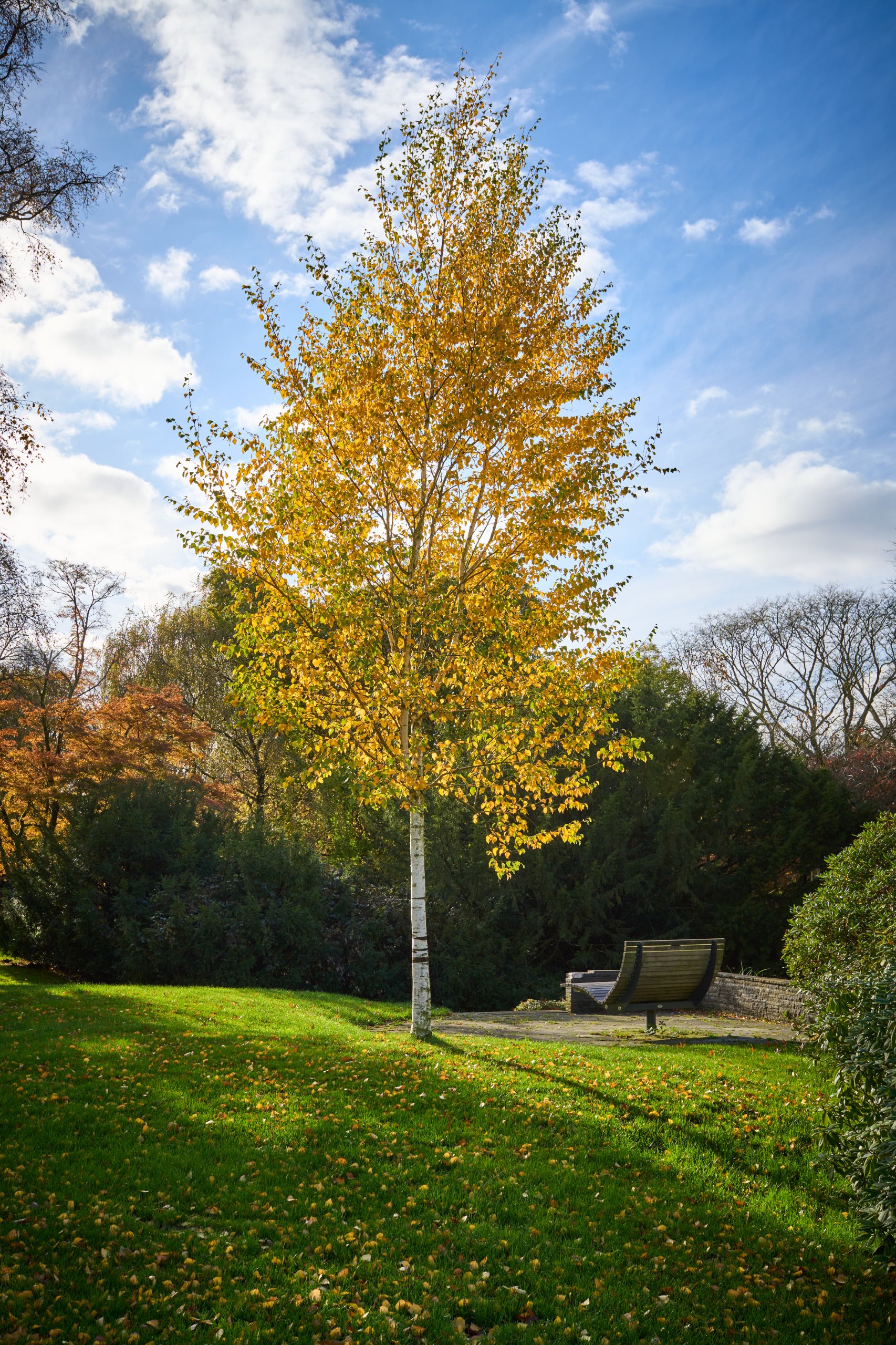 2025 11 02 Gruga 0002